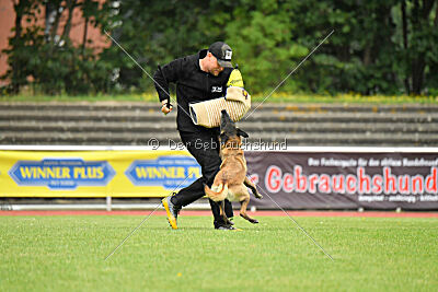 Stylish Motion`s Apple